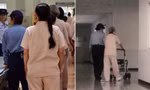 Cụ bà ở Nhật Bản cố ý vi phạm pháp luật để có “cuộc sống ổn định” trong nhà giam