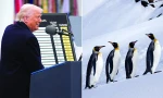 Tại sao Tổng thống Mỹ Trump dự định áp thuế ở cả quần đảo chỉ có chim cánh cụt?