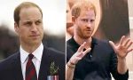 Hoàng tử Harry nói nếu làm việc không vui thì hãy nghỉ việc, dân mạng chê thiếu thực tế