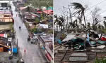 Video siêu bão Man-yi hoành hành ở Philippines: Dễ dàng "hạ" cây to, lật mái nhà