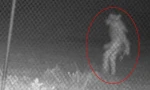 Mỹ: Camera ghi được hình ảnh sinh vật bí ẩn lúc 1h sáng, dân mạng phản ứng ra sao?