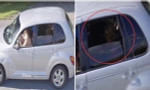 Người sử dụng Google Earth hoang mang khi thấy ảnh nhân vật như “người ngoài Trái Đất”