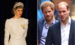 Hoàng tử Harry liên tục nói về nỗi đau khi mẹ mất, vậy còn William đã phải chịu những gì?