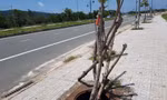 Hàng trăm nắp cống trên tuyến đường đẹp nhất đảo Phú Quốc bị trộm cắp