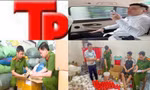 Bản tin Hình sự: Truy bắt nhóm đối tượng mang hung khí đánh người rồi quay video khoe 'chiến tích'