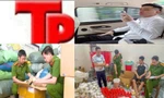 Bản tin Hình sự: Truy bắt nhóm đối tượng mang hung khí đánh người rồi quay video khoe 'chiến tích'