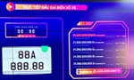 Biển số 88A-888.88 có giá trúng đấu giá hơn 21 tỷ đồng