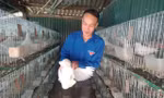 Thanh niên người Mông khởi nghiệp thành công nhờ nuôi bồ câu