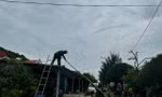 Hỗ trợ dân trên các đảo ứng phó trước khi siêu bão YAGI đổ bộ