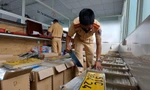 TPHCM còn 30.000 ô tô kinh doanh vận tải chưa đổi biển số vàng.