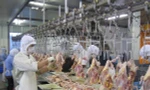 Việt Nam xuất khẩu thịt gà sang Nhật Bản