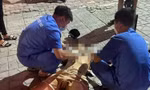 Nam thanh niên bị đâm gục trên phố Láng Hạ đã tử vong