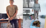 Bắt quả tang 2 đối tượng vận chuyển nhiều động vật nguy cấp, quý hiếm