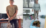 Bắt quả tang 2 đối tượng vận chuyển nhiều động vật nguy cấp, quý hiếm