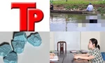 Bản tin Hình sự: Bắt quả tang nhóm trai xinh gái đẹp 'thác loạn' ma túy
