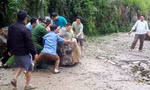 Quốc lộ 6 đoạn qua Hòa Bình tiếp tục sạt lở, đá lăn xuống đường