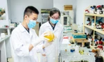  Tạo khí thế mới trong thanh thiếu nhi về phát triển khoa học, công nghệ, đổi mới sáng tạo 