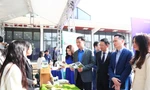 Kết nối đưa sản phẩm nghiên cứu, ý tưởng sáng tạo của thanh niên vào thực tiễn