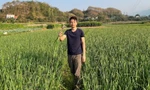 Khởi nghiệp từ tỏi đen, chàng trai 9X tạo sinh kế bền vững cho bà con vùng cao 
