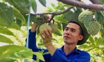 'Dân công nghệ' bỏ phố về quê khởi nghiệp với đặc sản Hải Phòng