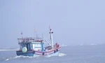 Đã liên lạc được với tàu cá Bình Định mất tích nhiều ngày trên biển. Ảnh minh họa
