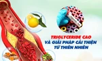 Triglyceride cao và giải pháp cải thiện từ thiên nhiên 
