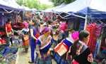 Học sinh phổ thông trải nghiệm văn hóa bản địa và trồng cây vì Việt Nam bền vững