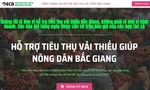 Bắc Giang kêu gọi cộng đồng hỗ trợ tiêu thụ vải thiều thông qua cổng thông tin