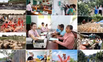 Xây dựng Đảng bộ Ngân hàng Chính sách xã hội Trung ương vững mạnh toàn diện, đồng hành cùng đất nước
