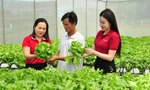 Nguồn vốn Agribank thúc đẩy kinh tế tư nhân phát huy vai trò trụ cột quan trọng của nền kinh tế