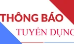 Công ty cổ phần Bột – Giấy VNT 19 tuyển dụng Trưởng ca và Nhân viên vận hành trạm điện 110KV 