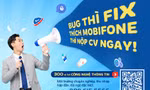 Nhu cầu tuyển dụng ngành công nghệ thông tin bùng nổ dịp cuối năm 