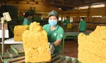 Cao su Đồng Nai – 50 năm dựng xây và phát triển bền vững