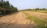 Keppel Land đưa nước sạch đến vùng hạn mặn tại Bến Tre với dự án Living Well 