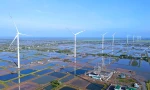 Nhà máy Điện gió Kosy Bạc Liêu hoàn thành, chính thức phát điện thương mại