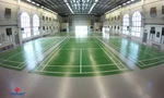 Tín Phát Sports - Đơn vị làm sân cầu lông uy tín hàng đầu