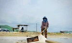 Nghề làm muối Sa Huỳnh được công nhận Di sản Văn hóa phi vật thể quốc gia