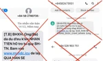 Nhiều đầu số lừa đảo nhắn tin nhận hỗ trợ từ Quỹ bảo hiểm thất nghiệp