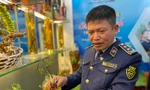 Quản lý thị trường giúp nhận diện sâm Ngọc Linh chuẩn
