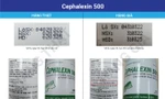 Cách nhận biết thuốc kháng sinh Cephalexin 500 giả