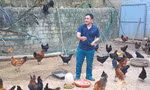 Tín dụng chính sách đưa đường “Đảng viên đi trước”