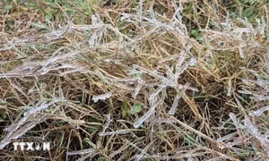 Tận thấy băng tuyết trên đỉnh Mẫu Sơn