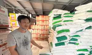 Triệt phá đường dây làm giả bột ngọt quy mô lớn 