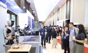 TPHCM thu ngân sách vượt mức Trung ương giao, du lịch góp công