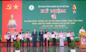 Ngành Cao su kỷ niệm 96 năm truyền thống, công bố nhãn hiệu VRG GREEN