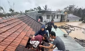 Nhiều trường tại TPHCM đồng loạt giảm học phí, mở chiến dịch hỗ trợ đồng bào vùng lũ
