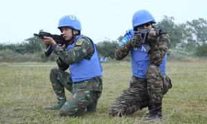 Quân đội Việt Nam và Ấn Độ sẽ diễn tập song phương tại TB4 