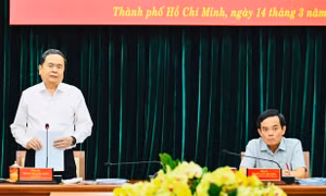 Công bố quyết định kiểm tra, giám sát của Bộ Chính trị, Ban Bí thư đối với Ban Thường vụ Thành ủy TPHCM
