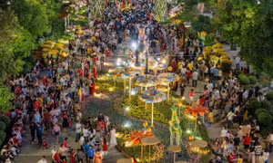 Đường hoa lớn nhất TPHCM chính thức chào Tết