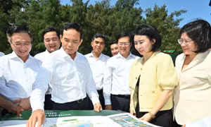 Bí thư TPHCM Trần Lưu Quang chỉ đạo đẩy nhanh tiến độ thi công dự án lấn biển Cần Giờ